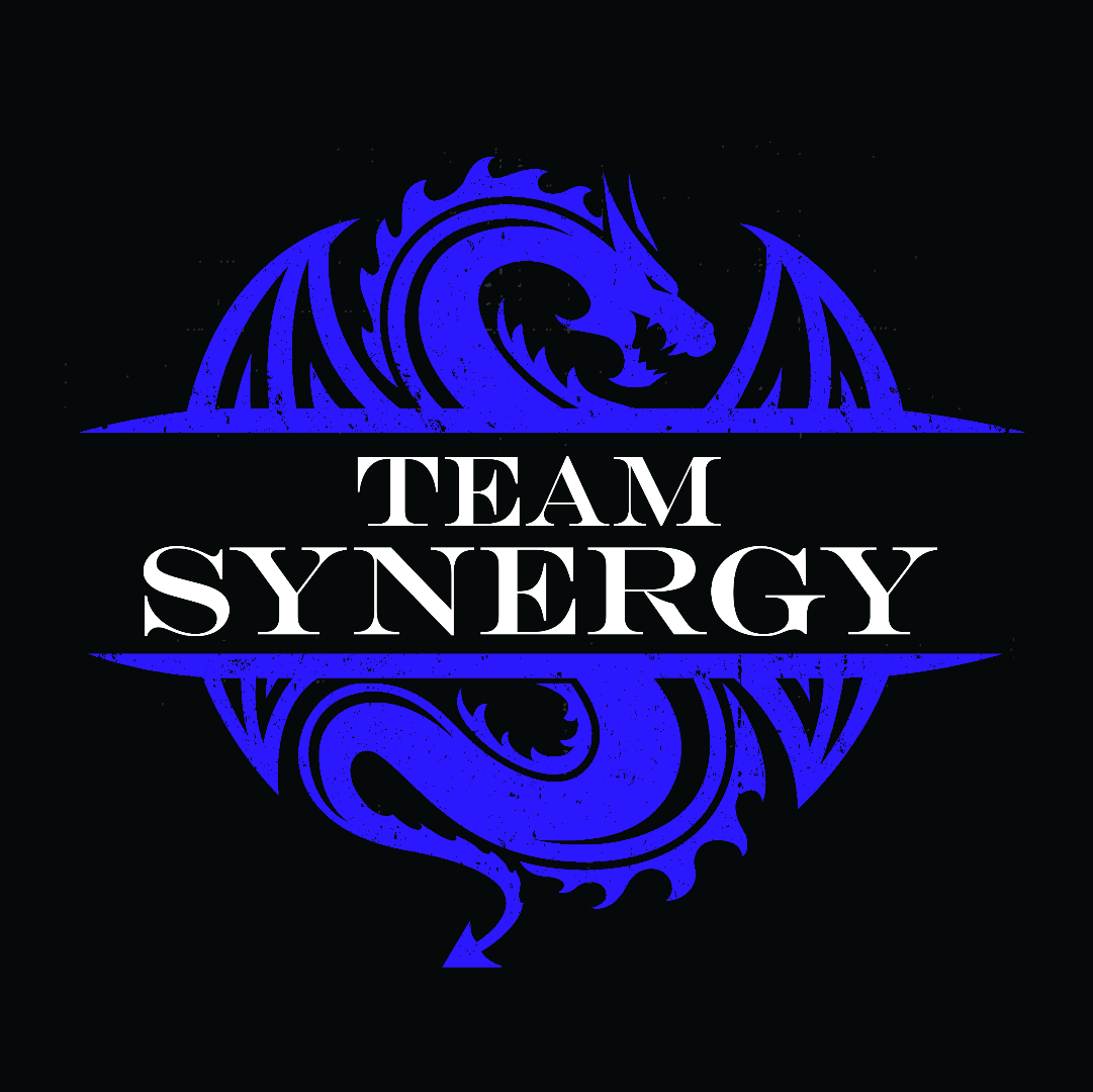 team-synergy-2019-initial-rosters-open-slots-true-dungeon